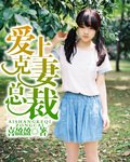 爱上克妻总裁封面
