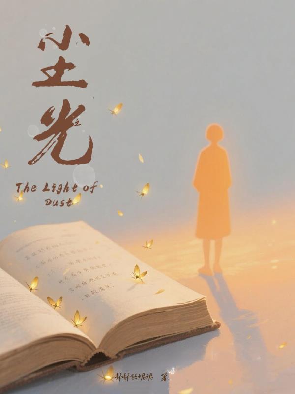一尘之光封面