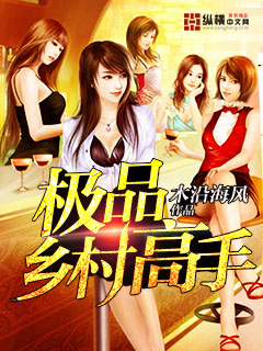 极品乡村高手封面