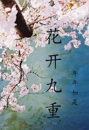 花开九重封面