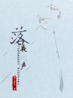 落夜无声封面