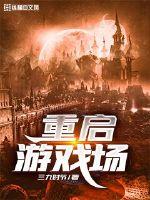 重启游戏场封面