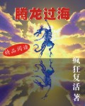 腾龙过海封面