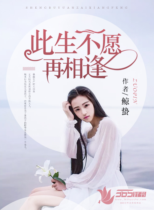 此生不愿再相逢封面