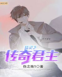 精灵之传奇君主封面