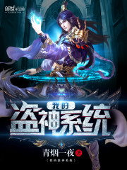 我的盗神系统封面