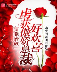 高能治愈：虏获傲娇总裁好欢喜封面
