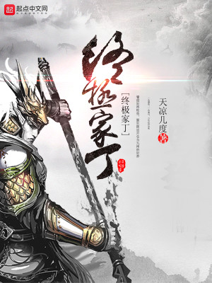 终极家丁封面