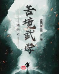诸天之苦境武学封面