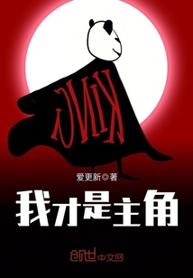 我才是主角封面