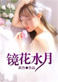 镜花水月封面