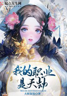 我的职业是天劫封面