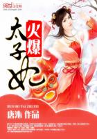 火爆太子妃封面