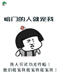 暗门的人就宠我封面