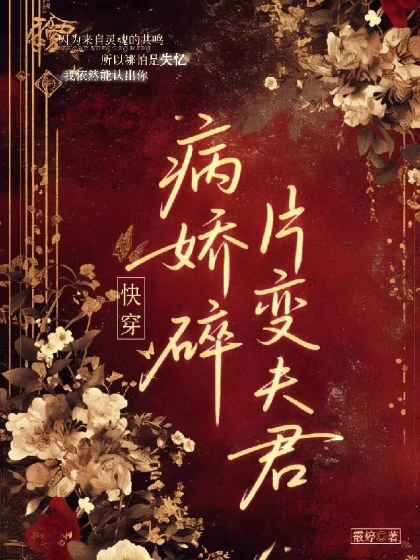 快穿：病娇碎片变夫君封面
