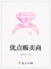 优点贩卖商封面