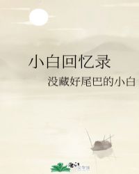 小白回忆录封面