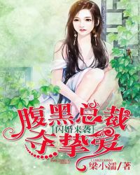 闪婚来袭:腹黑总裁夺挚爱封面