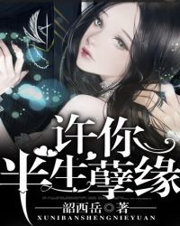 许你半生孽缘封面