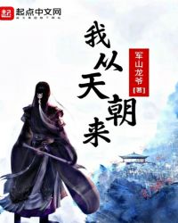 我从天朝来封面