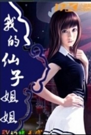 我的仙子姐姐封面
