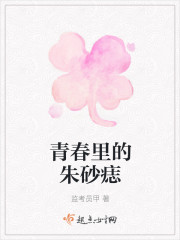 青春里的朱砂痣封面