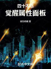 四十不惑，觉醒属性面板封面