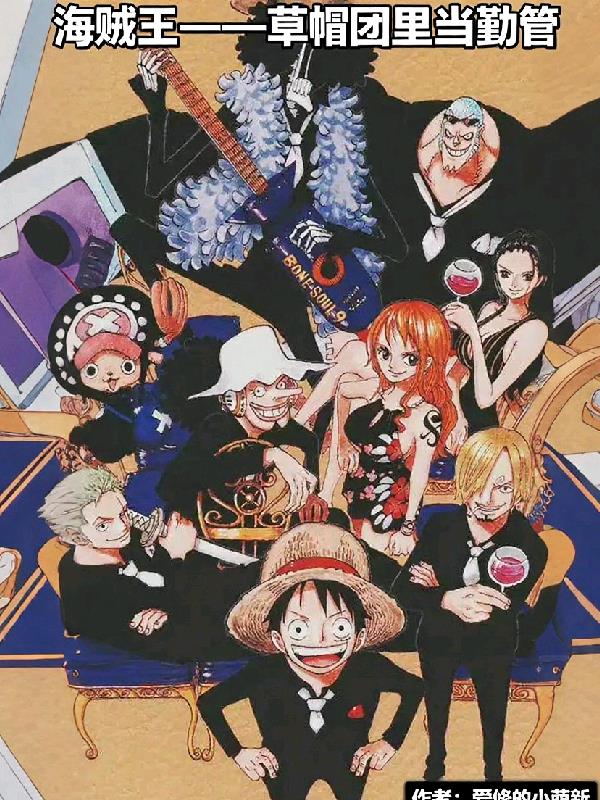 海贼王：草帽团里当勤管封面