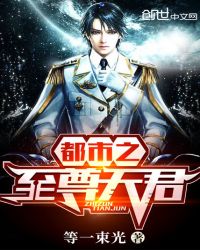 都市之至尊大将封面