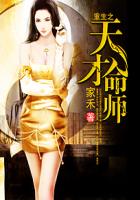 重生之天才命师封面