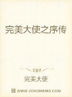 完美大使之序传封面
