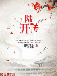 陆开传封面