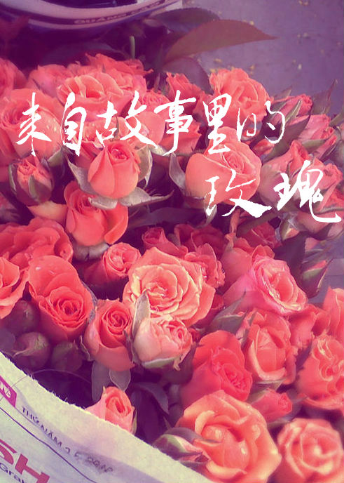 来自故事里的玫瑰封面