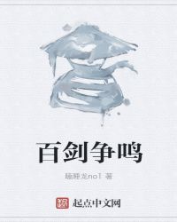 百剑争鸣封面