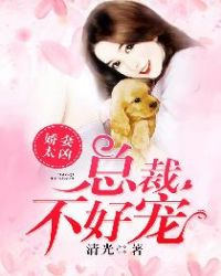 娇妻太凶,总裁不好宠封面