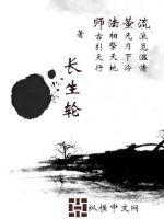 长生轮封面