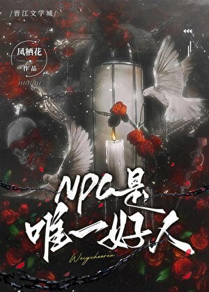 NPC是唯一好人封面
