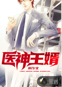 医神王婿封面