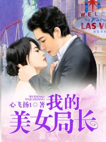 我的美女局长封面