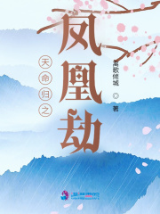 天命归之凤凰劫封面