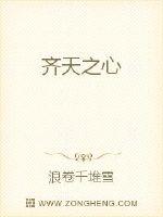 齐天之心封面