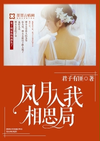 风月入我相思局封面