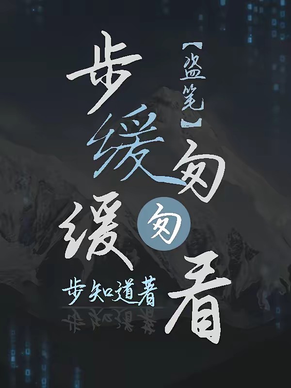 盗笔：步缓缓，匆匆看封面