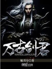 万古剑君封面