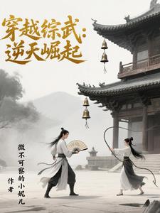 穿越综武：逆天崛起封面
