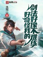 好奇怪我的剑法好像不难练封面