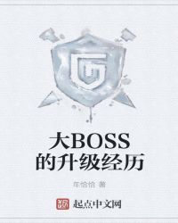 大BOSS的升级经历封面