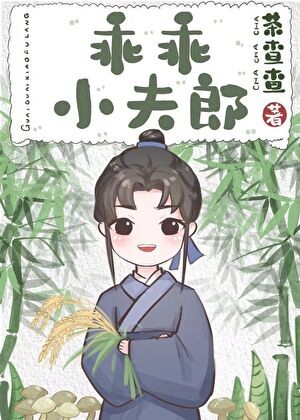 乖乖小夫郎封面