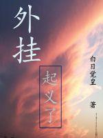 外挂起义了封面