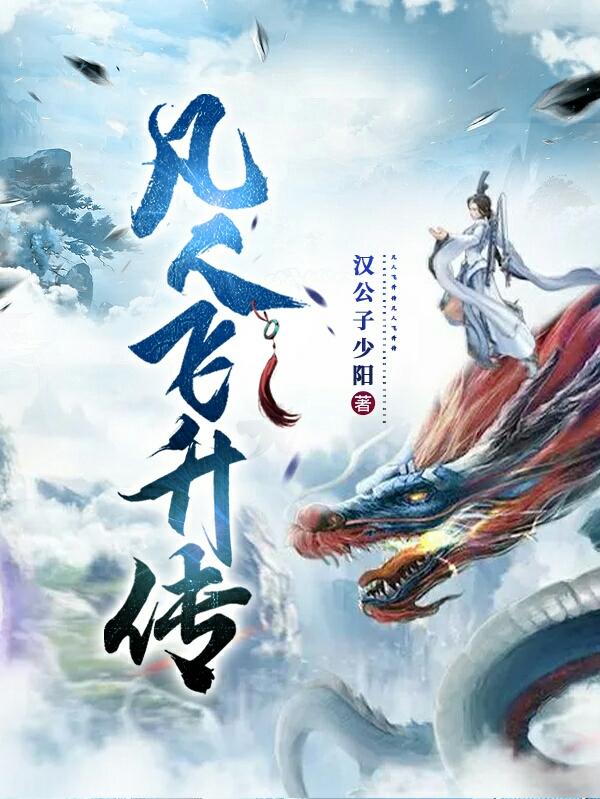 凡人飞升传封面